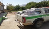 توقیف خودروی حامل زغال بلوط قاچاق درکوهرنگ