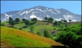 روستاییان چیگو لردگان دوست‌داران جنگل شدند