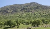 شبکه بی سیم دیجیتال منابع طبیعی چهارمحال و بختیاری فعال میشود