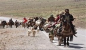 کوچ زودهنگام عشایر به چهارمحال و بختیاری ممنوع شد