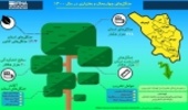 اینفوگرافیک: وضعیت جنگل‌های چهارمحال و بختیاری