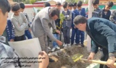 نقش جنگلها در کنترل فرسایش خاک و مدیریت منابع آب