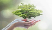 مکان‌یابی هشت هزار هکتار عرصه برای کاشت نهال در چهارمحال و بختیاری