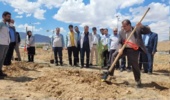 آیین کاشت درخت در کارخانه فولاد سفیددشت