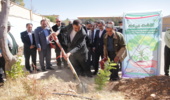 کاشت درخت همزمان با بازگشایی مدارس