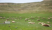 آغاز طرح‌های منابع طبیعی برای اجرای برنامه هفتم توسعه 