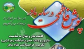 دعوتید به پویش نهالکاری
