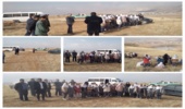 کاشت نهال درتپه نورالشهداوپارک جنگلی ناغان 