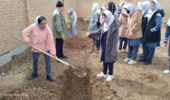 نهالکاری در شهرستان کیار