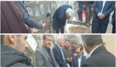 پویش نهالکاری وفاق و همدلی 