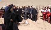 برگزاری پویش ملی درختکاری "سرو ایران"