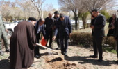 تجدید پیمان با شهدا و طبیعت: آیین درختکاری در شهرکرد برگزار شد
