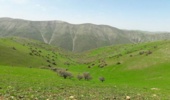 تمام مراتع کشور باید طرح مرتعداری داشته باشند