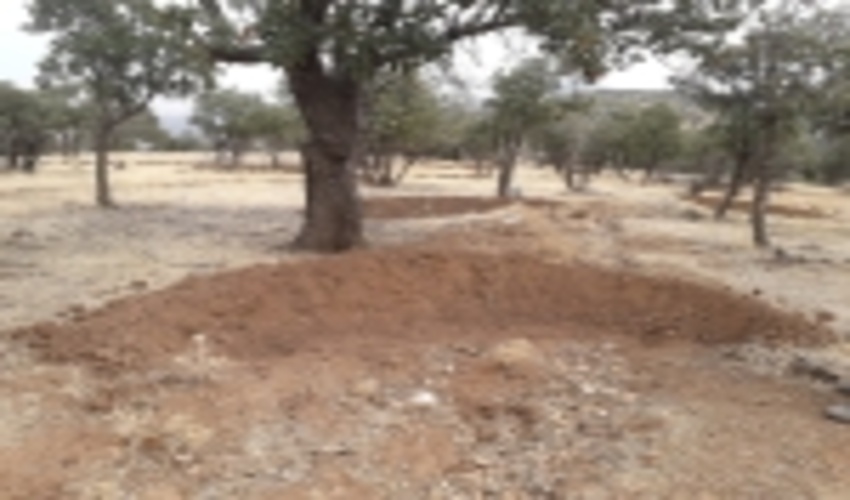 اعلام رتبه بندي شهرستان ها در برنامه ۹در۹۹