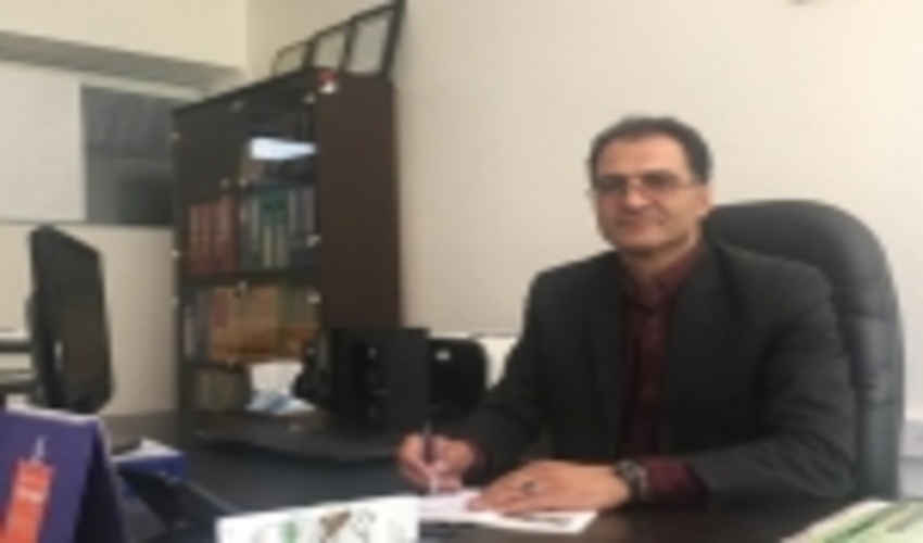 زراعت چوب، پشتوانه حفظ جنگل ها همراه با اشتغال و درآمدزایی