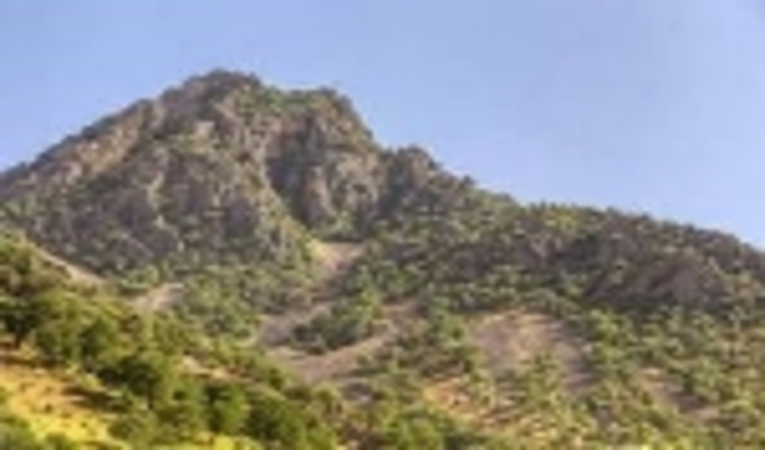 ۴۷ هزار هکتار از جنگل های زاگرس در چهارمحال و بختیاری دچار خشکی شد.
