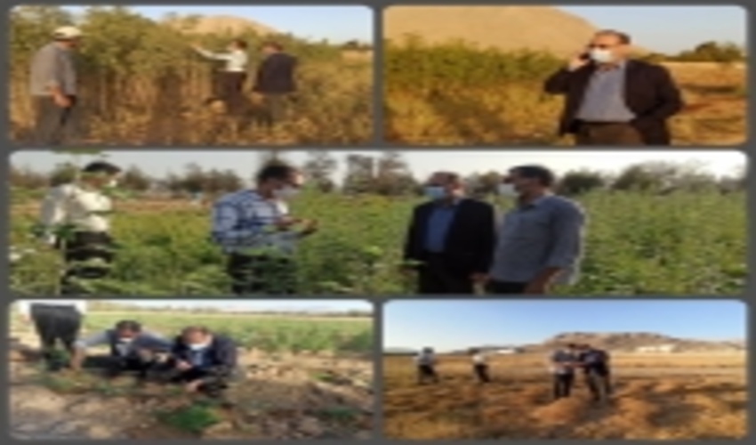  بازدید مدیرکل منابع طبیعی استان از نهالستان چهارتخته شهرکرد