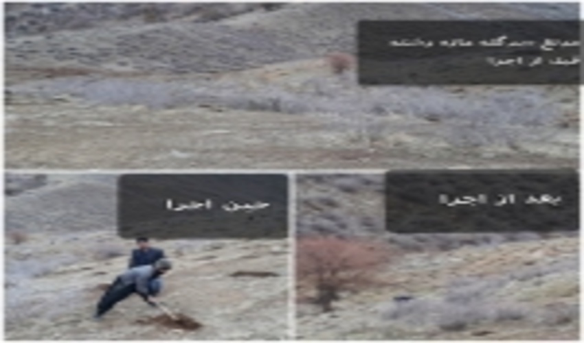  عملیات بیولوژیک و بیومکانیک جنگل در سطح هزار و ۴۰۰ هکتار از سطح استان در حال انجام است