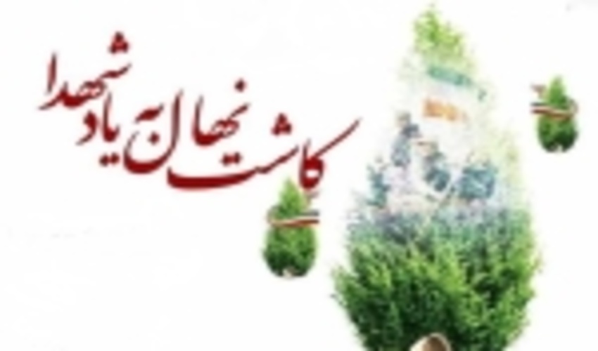 کاشت بیش از 9 هزار نهال در راستای تکریم شهدا و جانبازان چهارمحال و بختیاری
