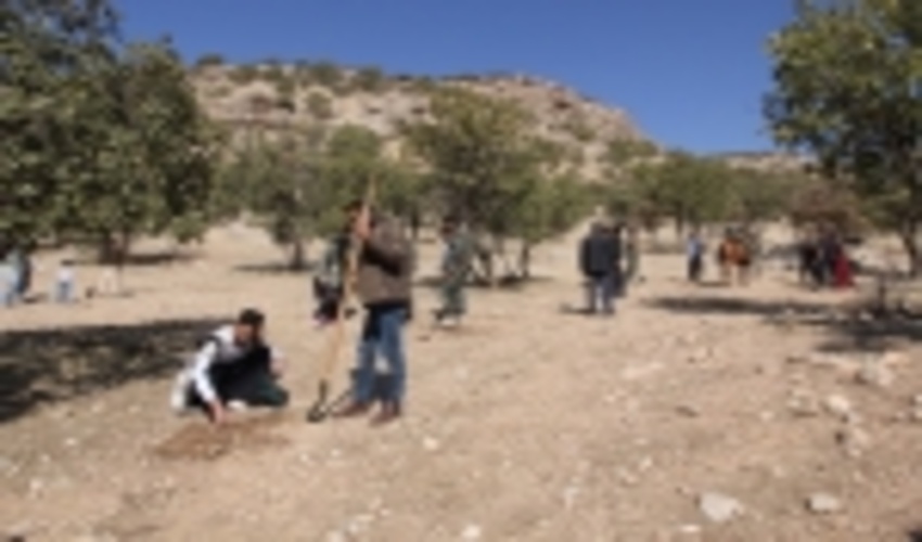 ۷۰ هزار اصله نهال در چهارمحال و بختیاری غرس می‌شود