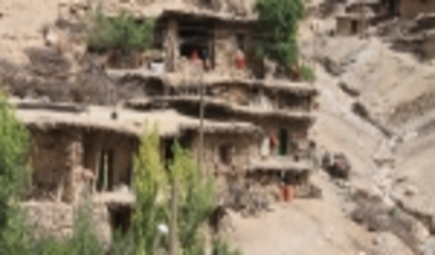 پایان قطع درختان بلوط در نبود گاز در روستای صالح کوتاه کوهرنگ