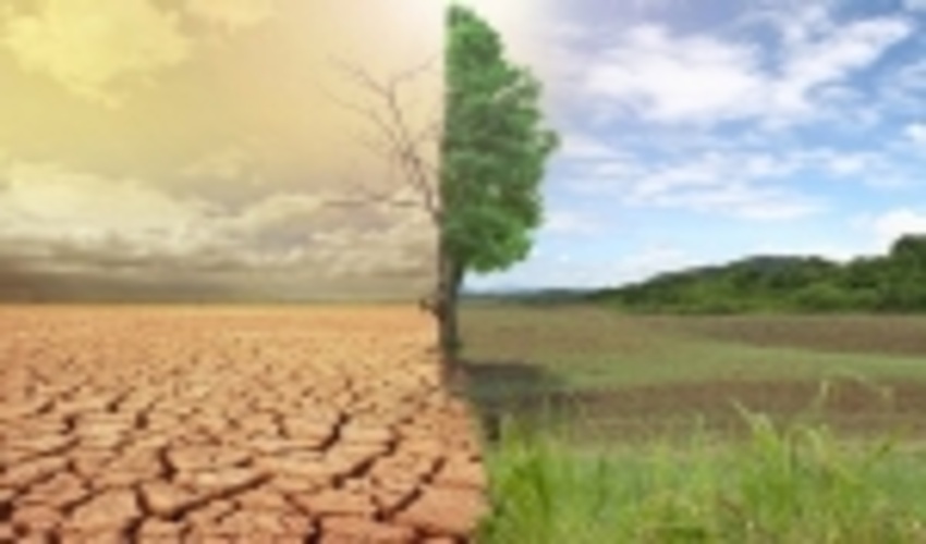 بیابان زایی؛ بحرانی فراگیر/ انسان مهم ترین عامل بیابان زایی است