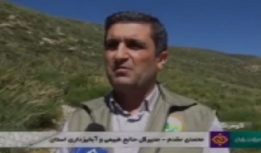 مراتع شهرستان کوهرنگ فرصتی برای ایجاد اشتغال پایدار