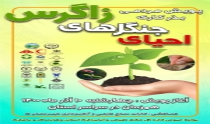 پویش مردمی بذرکاری برای احیای جنگل‌های زاگرس در چهارمحال و بختیاری اجرا می‌شود