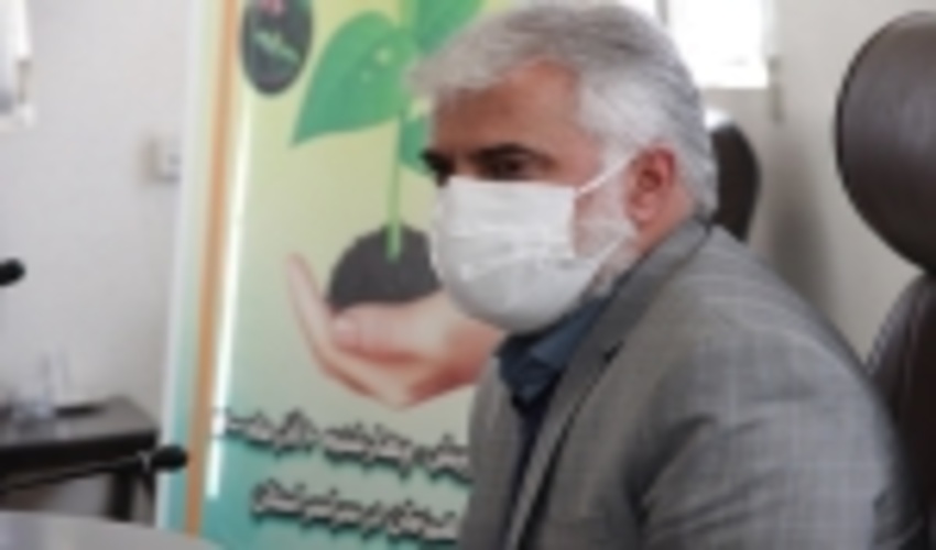 اجرای پویش مردمی احیای جنگلهای زاگرس نیازمند همکاری همه گروههاست