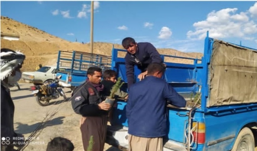۵ هزار اصله نهال در اردل توزيع مي‌شود