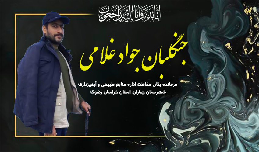 پیام تسلیت مدیرکل منابع طبیعی و آبخیزداری استان در پی شهادت جنگلبان جواد غلامی