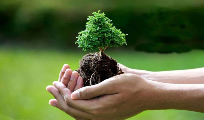 حفاظت مشارکتی راهکار اصلی حفظ منابع طبیعی است