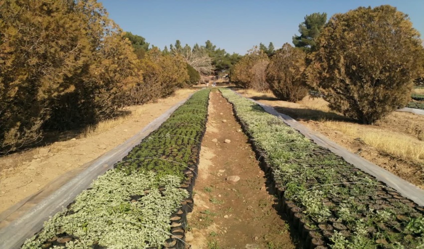 بهره‌برداری از پروژه تورکینست روستای گنج شهرستان لردگان 