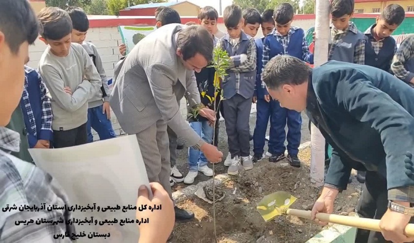 نقش جنگلها در کنترل فرسایش خاک و مدیریت منابع آب