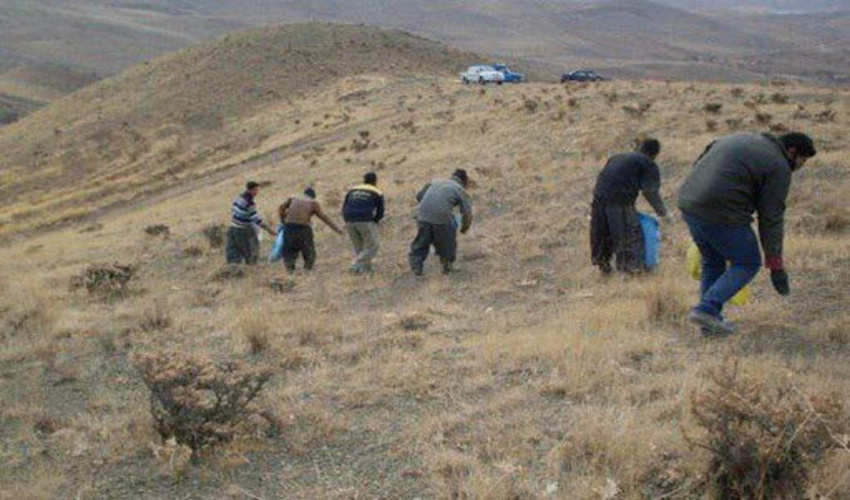 کشف بیش از 12 تن چوب قاچاق در چهارمحال‌ و بختیاری از ابتدای سال 1400