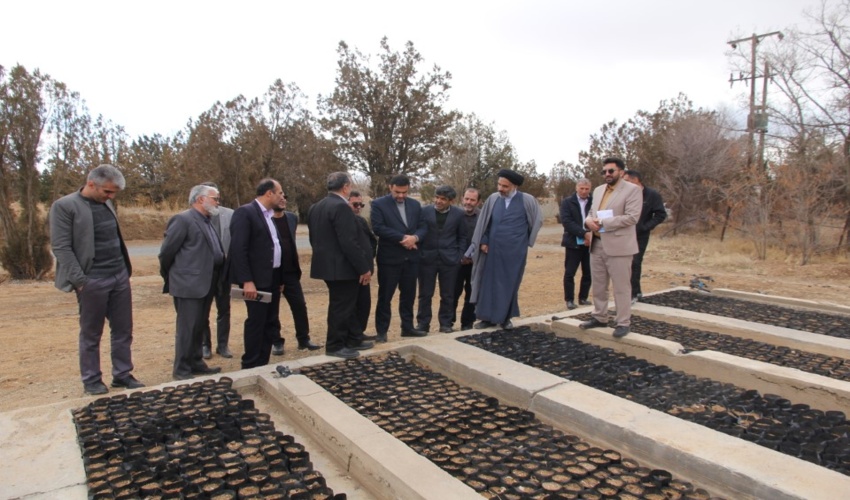 طرح مردمی کاشت یک میلیارد درخت با وجود عدم تخصیص اعتبار، همچنان با قوت در حال اجرا است