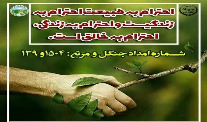 احترام به طبیعت