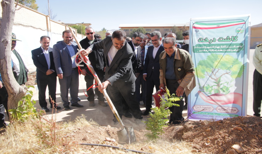 کاشت درخت همزمان با بازگشایی مدارس