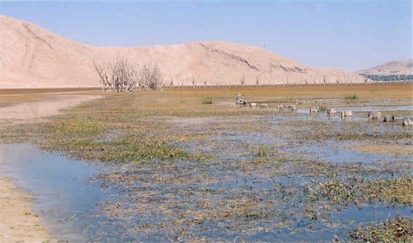  کنترل سیلاب و هرزآب راهی برای احیای دوباره دشت شهرکرد