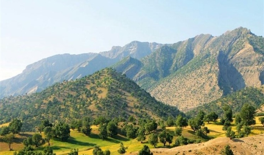 بررسی طرح مردمی کاشت یک میلیارد درخت در چهارمحال و بختیاری