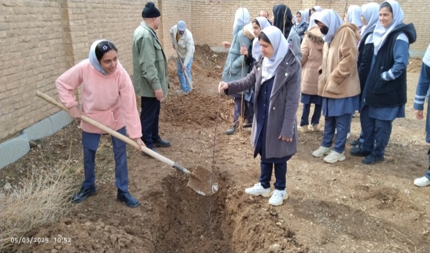 نهالکاری در شهرستان کیار