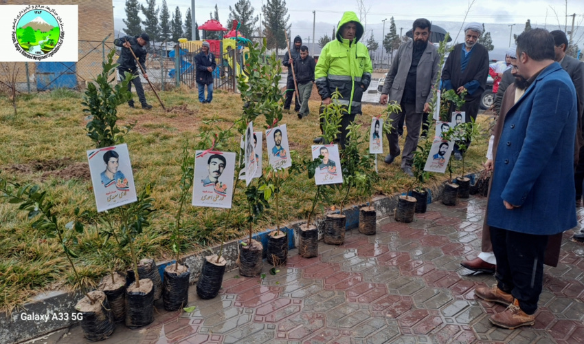 پویش سراسری درختکاری جان ایران
