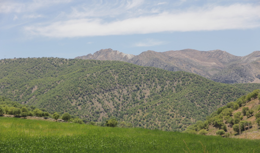 آگهی قرق ذخیره گاه جنگلی ( کوه‌سرخ )
